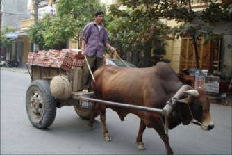 transportation2